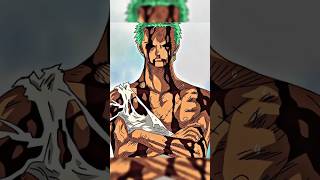 Zoro Took all Luffy's Pain" 😭