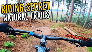 The Best Natural Mountain Bike Trails- That I Can't Tell You About