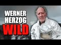 Der Wildeste Regisseur Aller Zeiten Werner Herzog