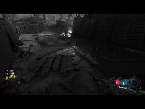Every BO3 Zombies Map With Randoms pt 115