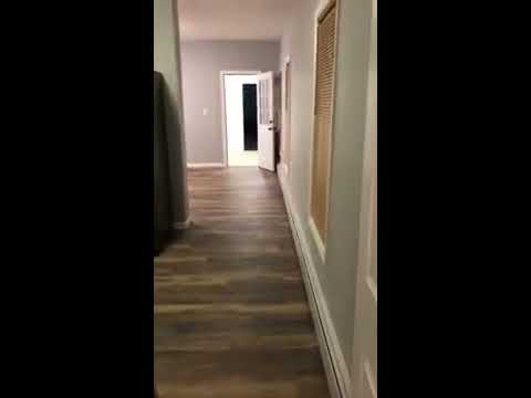 2 Bedroom 1st Floor Apartment for Rent New Britain, CT