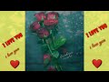 Aashiq Banaya I Love You Status Video Rose Aashiq Banaya Status Video WhatsApp