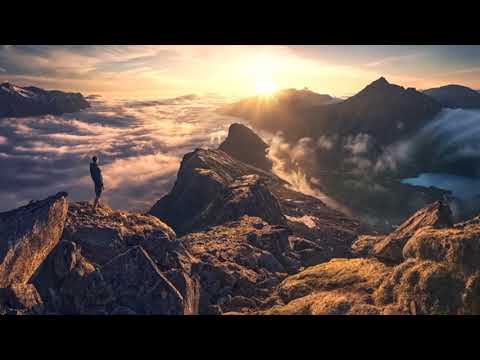 LAUGE - Undercurrent