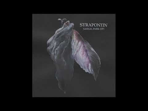 PREMIERE | Strapontin - Sasnal Park (A Strange Wedding Remix) [Abstrack] 2021