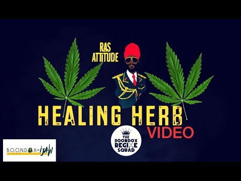 Ras Attitude - (OFFICIAL VIDEO) HEALING HERB