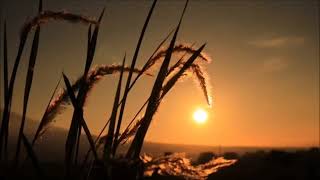 Download lagu lagu minang ,nyanyian sianak rantau. enak di dengar mp3 Download lagu lagu minang ,nyanyian sianak rantau. enak di dengar mp3