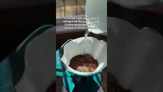 Medite na ressurreição #palavradedeus #motivacional