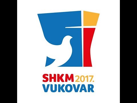 SHKM Vukovar 2017.