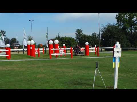 Fahrturnier Ostenfelde 15.8.2021