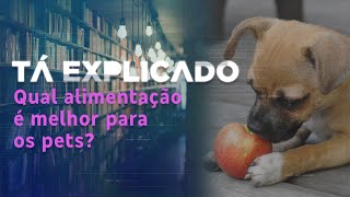 O que é melhor para os pets, ração ou alimentação natural? | Tá Explicado