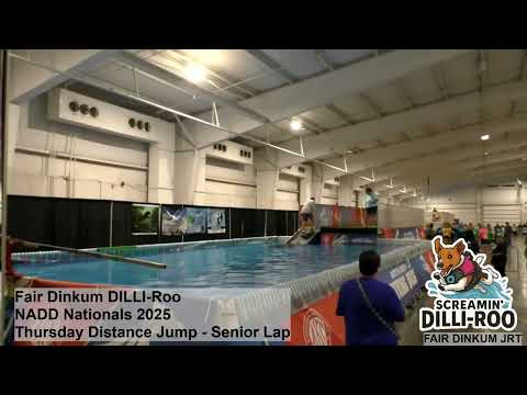 Fair Dinkum DILLI-Roo NADD Nationals 2025 Thursday Distance Jump