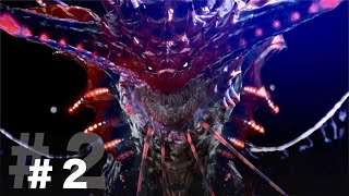 MHW IB#2