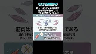 筋トレでメンタルが回復する理由
