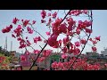 Aaja Aayi Bahar Song