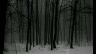 Burzum - Erblicket die Tochter des Firmament