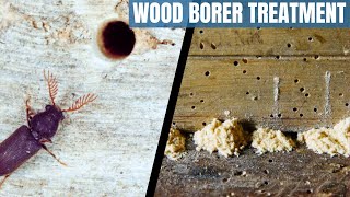 Wood borer treatment | How to get rid of wood borer | difference between termites and wood borer