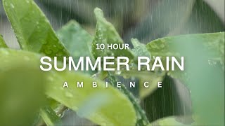 Download lagu 10 Hour | Soothing Summer Rain for Meditation | Sleep | Stress Relief | Calm Ambience mp3
