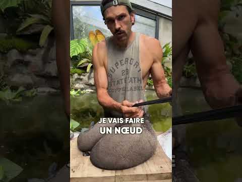 Baignade dans mon lagon privé 🤯