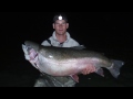 Video Thumbnail for World Record Rainbow Trout - Our Story 4
