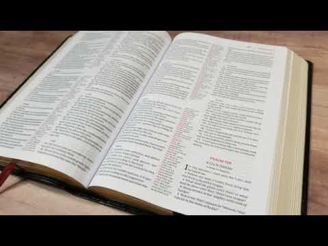 Hairs On My Head - Day Three Music Ft. Grace Tena (Instrumental) *Lyrics in the discription below*