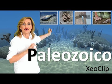 Vídeo: Historia da Terra. Paleozoico