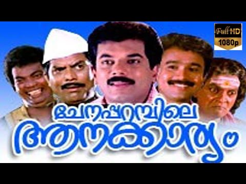 Chenaparabile Aanakkarayam