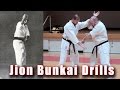 Practical Kata Bunkai Jion Bunkai And Drills