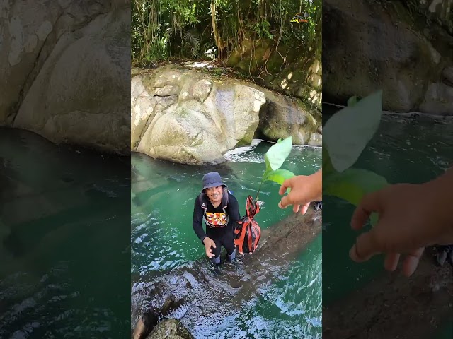 Trekking Nyarai