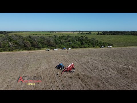 Ing. Agr. Gerardo Quintana - Cultivo de Soja - Las Breñas Chaco - segunda parte.
