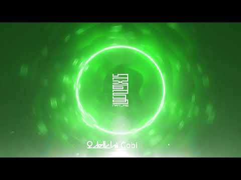 Delkhii - Gobi