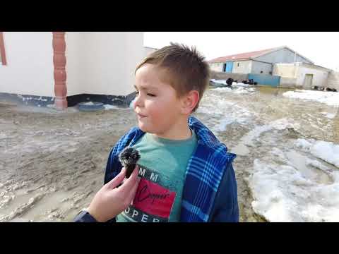 "Hiç sorma len özgürlük kısa sürdü" diyen Yasin öğretmenine kavuştu.