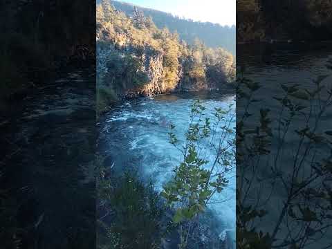 Chile 🇨🇱 región de la Araucanía comuna de curacautin..