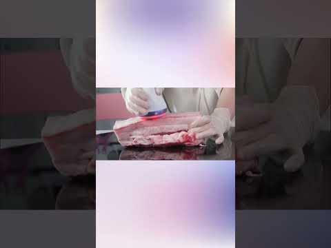 Cavitation Machine Test With Pork Belly| Body Contouring #bodyshaping
