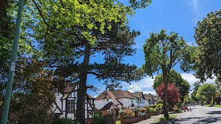 Beautiful 💓 sun shine after heavy Rain || in Croydon London 🌧️ ||