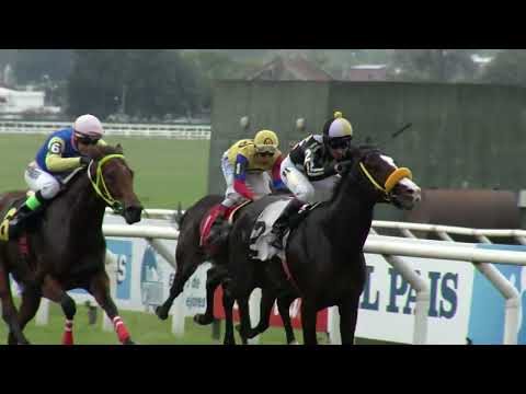 230521 c02 - MASTER OF PUPPETS (BRZ) - HIPODROMO DE MARONAS