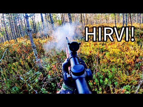 Hirvenpyyntiä 2024