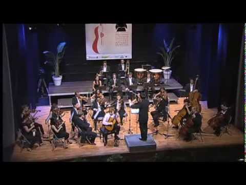 Final del XLVII Certamen Internacional de Guitarra Francisco Tárrega 2013 (Summary)