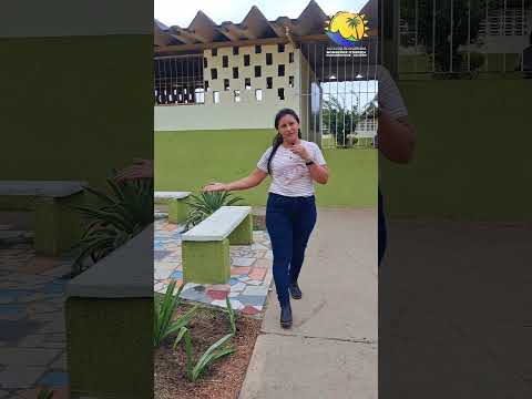 Tocuyo de la Costa Municipio Monseñor Iturriza 🌴 Plan Nacional de Reforestación Chuquisaca. 🌳​