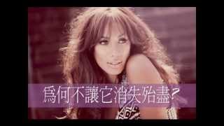里歐娜Leona Lewis【別愛我了Unlove Me】中文歌詞