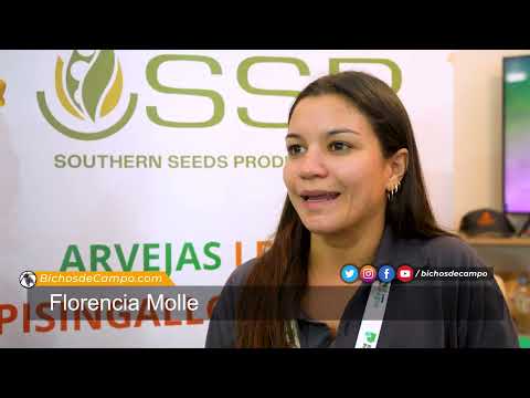 Florencia Molle, comercial de la empresa semillera SSP de Arrecifes, Buenos Aires