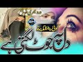 Koi Apna Rulata Hai To Dil Pe Chot Lagti H Beautiful Voice Ghazal Dard Bhari Ghazal New Gajal