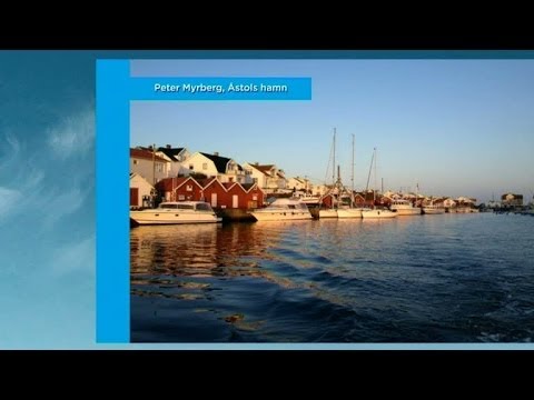 Tittarnas väderbilder - Nyhetsmorgon (TV4)