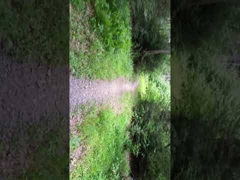 walking into the campsite from the main road