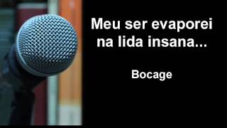 Meu Ser Evaporei Na Lida Insana