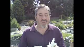 White Fragility - Chapter 9 - the great strides Robin DiAngelo doesn't see