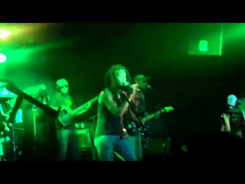 Rootz Underground - Herb Fields