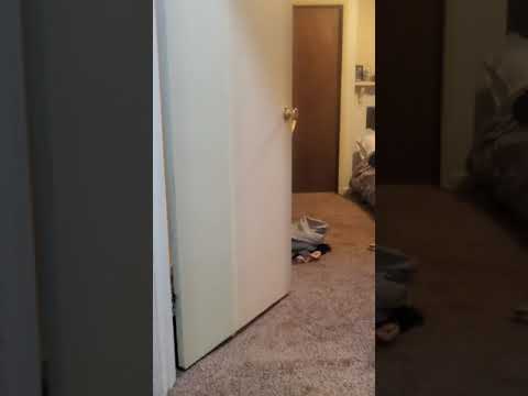 3445 Ward Street #3 - Video 2 of 2