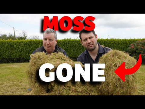 DESTROY moss for GOOD in 5 minutes or LESS