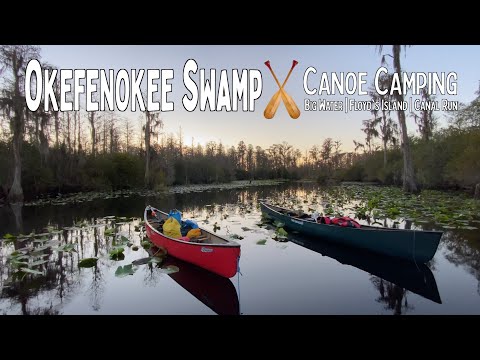 Canoeing the Okefenokee Swamp | 4 Day Canoe Camping Trip