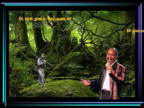 ĐÔI CHÂN TRẦN - Y MOAN